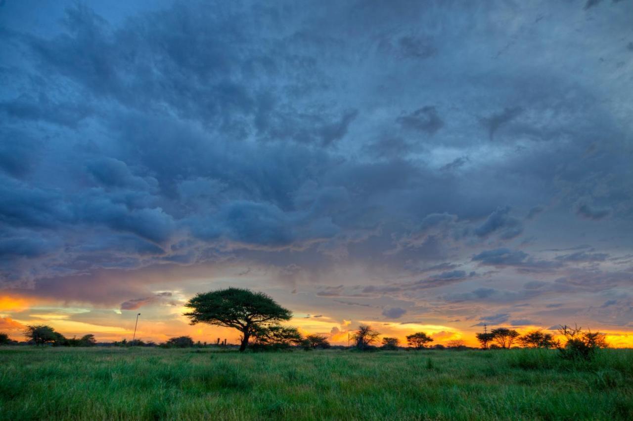 Khoi-Khoi Guesthouse Otavi Eksteriør bilde