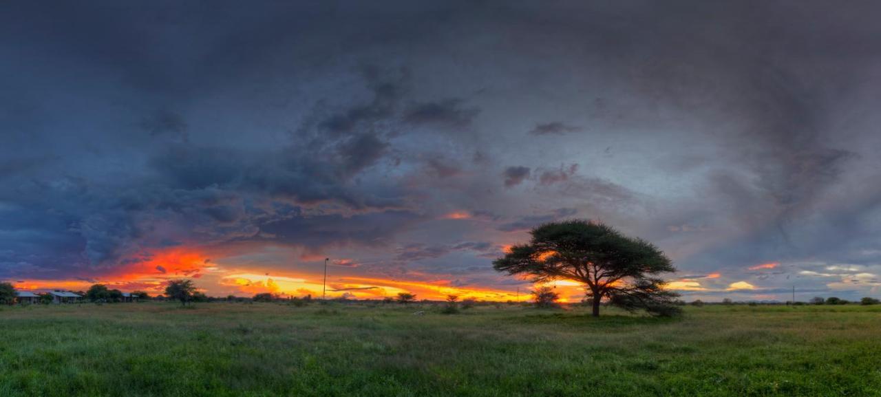 Khoi-Khoi Guesthouse Otavi Eksteriør bilde
