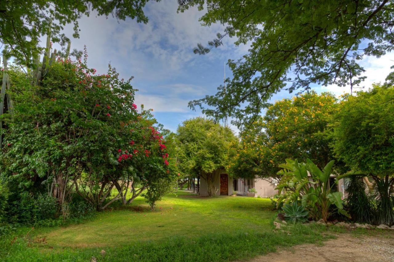 Khoi-Khoi Guesthouse Otavi Eksteriør bilde